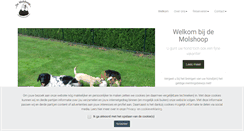 Desktop Screenshot of molshoop.info